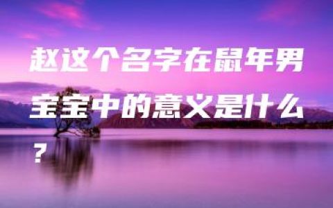 赵这个名字在鼠年男宝宝中的意义是什么？