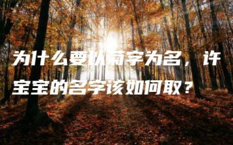 为什么要以菊字为名，许宝宝的名字该如何取？