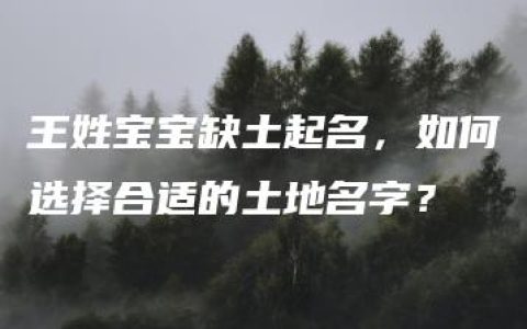 王姓宝宝缺土起名，如何选择合适的土地名字？