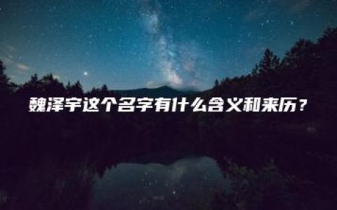 魏泽宇这个名字有什么含义和来历？