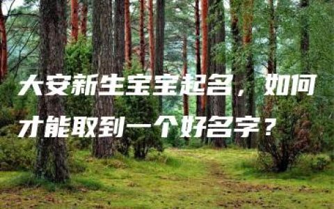 大安新生宝宝起名，如何才能取到一个好名字？