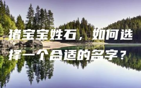 猪宝宝姓石，如何选择一个合适的名字？