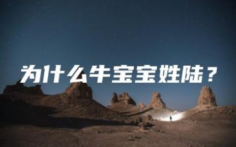 为什么牛宝宝姓陆？