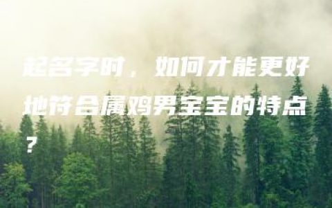 起名字时，如何才能更好地符合属鸡男宝宝的特点？