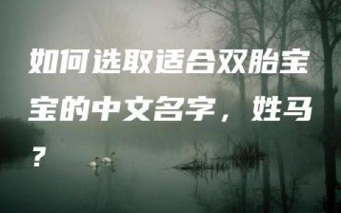 如何选取适合双胎宝宝的中文名字，姓马？