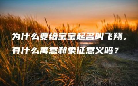 为什么要给宝宝起名叫飞翔，有什么寓意和象征意义吗？