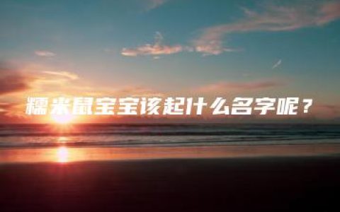 糯米鼠宝宝该起什么名字呢？