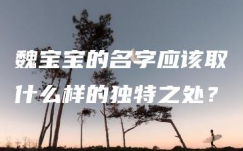 魏宝宝的名字应该取什么样的独特之处？