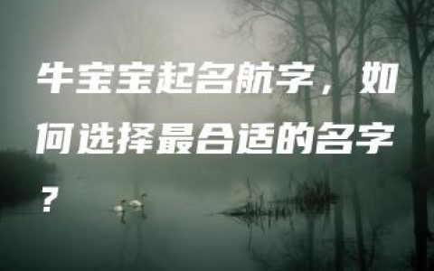 牛宝宝起名航字，如何选择最合适的名字？