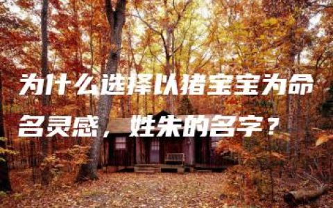 为什么选择以猪宝宝为命名灵感，姓朱的名字？