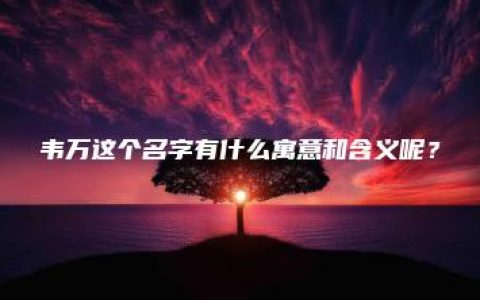 韦万这个名字有什么寓意和含义呢？