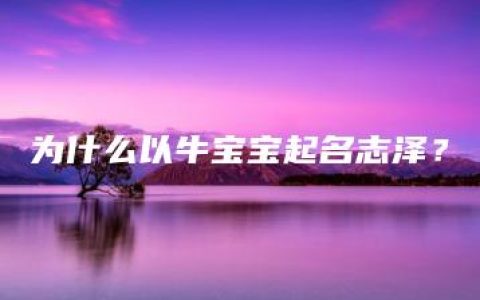 为什么以牛宝宝起名志泽？