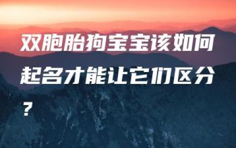 双胞胎狗宝宝该如何起名才能让它们区分？