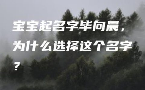 宝宝起名字毕向晨，为什么选择这个名字？