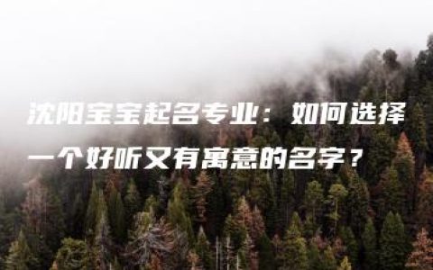 沈阳宝宝起名专业：如何选择一个好听又有寓意的名字？