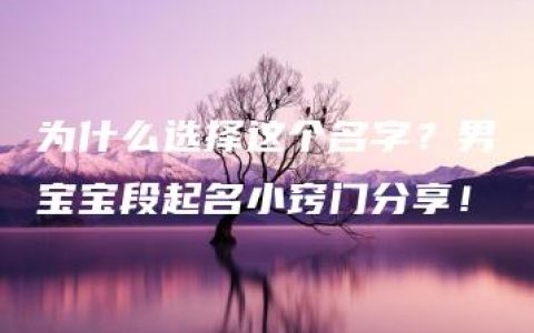 为什么选择这个名字？男宝宝段起名小窍门分享！