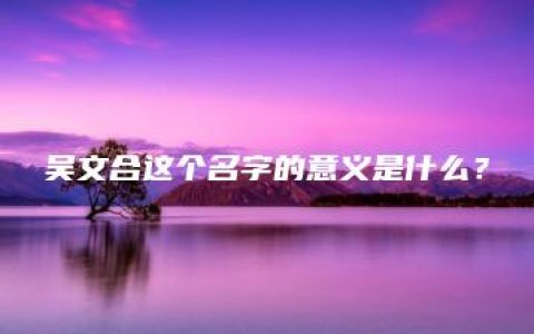 吴文合这个名字的意义是什么？