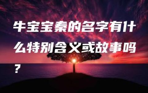 牛宝宝秦的名字有什么特别含义或故事吗？