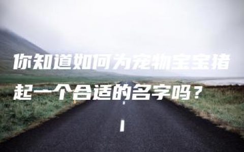 你知道如何为宠物宝宝猪起一个合适的名字吗？