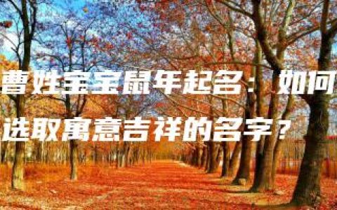 曹姓宝宝鼠年起名：如何选取寓意吉祥的名字？