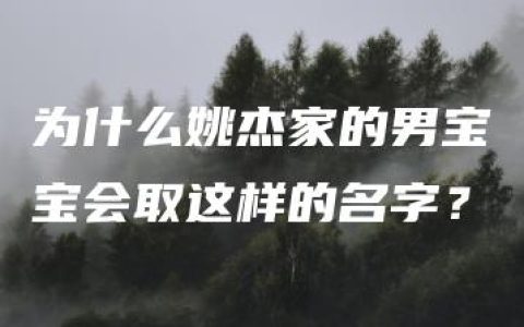 为什么姚杰家的男宝宝会取这样的名字？