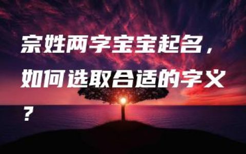 宗姓两字宝宝起名，如何选取合适的字义？