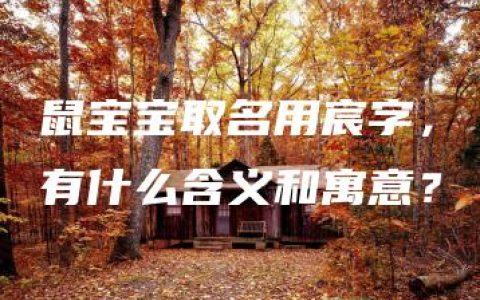 鼠宝宝取名用宸字，有什么含义和寓意？