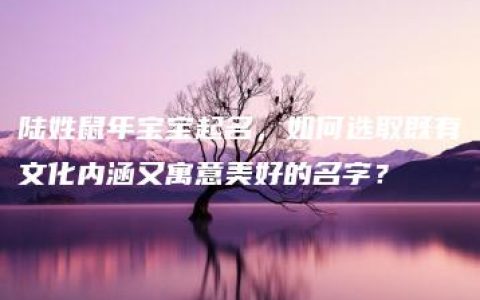 陆姓鼠年宝宝起名，如何选取既有文化内涵又寓意美好的名字？