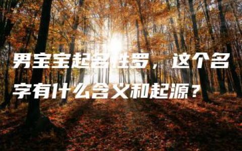 男宝宝起名性罗，这个名字有什么含义和起源？