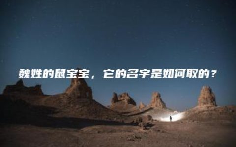 魏姓的鼠宝宝，它的名字是如何取的？