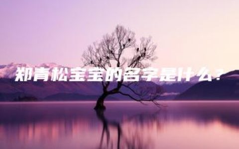 郑青松宝宝的名字是什么？