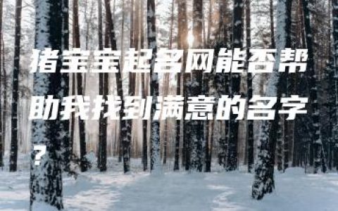 猪宝宝起名网能否帮助我找到满意的名字？