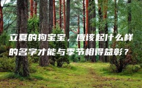 立夏的狗宝宝，应该起什么样的名字才能与季节相得益彰？