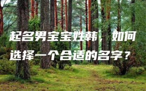 起名男宝宝姓韩，如何选择一个合适的名字？