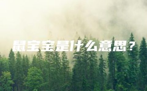 鼠宝宝是什么意思？