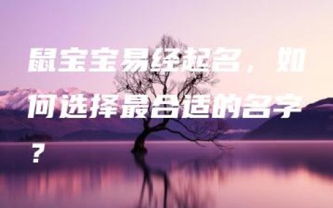 鼠宝宝易经起名，如何选择最合适的名字？