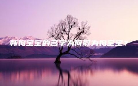 韩狗宝宝的名字为何取为狗宝宝？