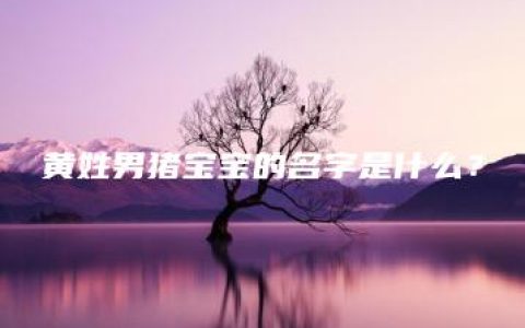 黄姓男猪宝宝的名字是什么？