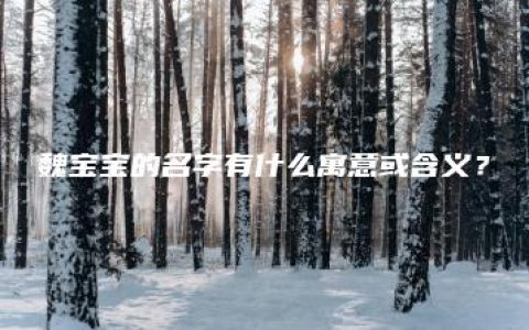 魏宝宝的名字有什么寓意或含义？