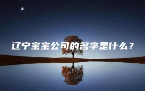 辽宁宝宝公司的名字是什么？