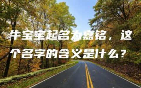 牛宝宝起名为嘉铭，这个名字的含义是什么？