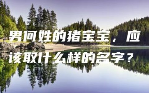 男何姓的猪宝宝，应该取什么样的名字？