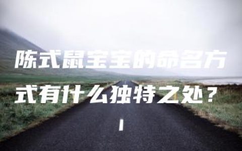 陈式鼠宝宝的命名方式有什么独特之处？