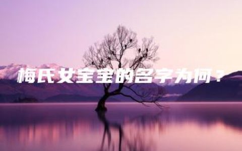 梅氏女宝宝的名字为何？