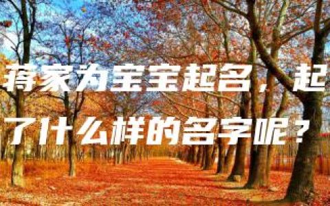 蒋家为宝宝起名，起了什么样的名字呢？