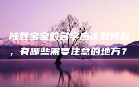 陆姓宝宝的名字应该如何起，有哪些需要注意的地方？