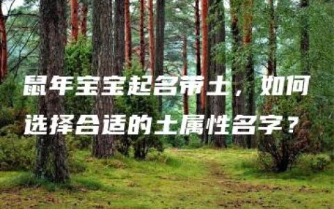 鼠年宝宝起名带土，如何选择合适的土属性名字？