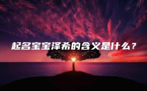 起名宝宝泽希的含义是什么？