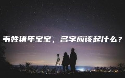 韦姓猪年宝宝，名字应该起什么？