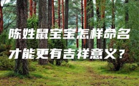 陈姓鼠宝宝怎样命名才能更有吉祥意义？